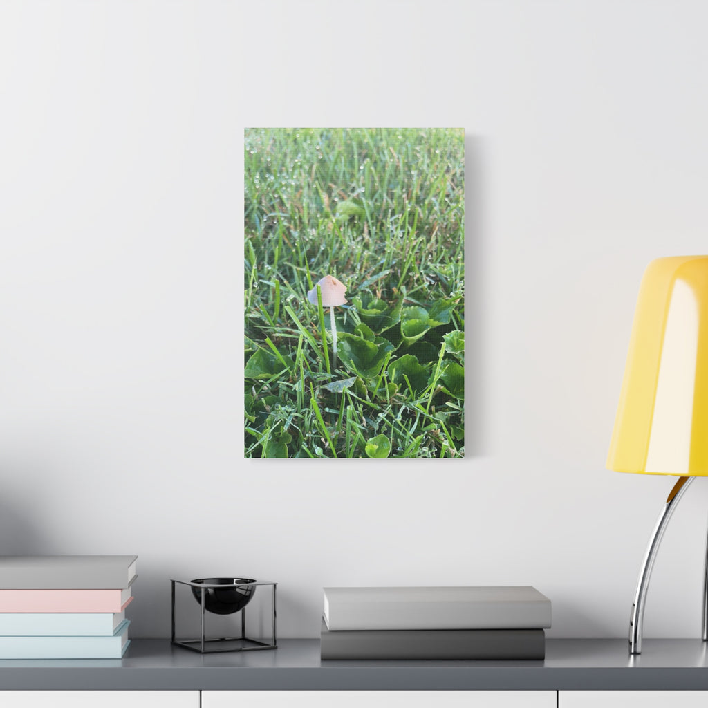 Mushroom in Grass Matte Canvas Wall Art – Nature Photography, Stretched 1.25"