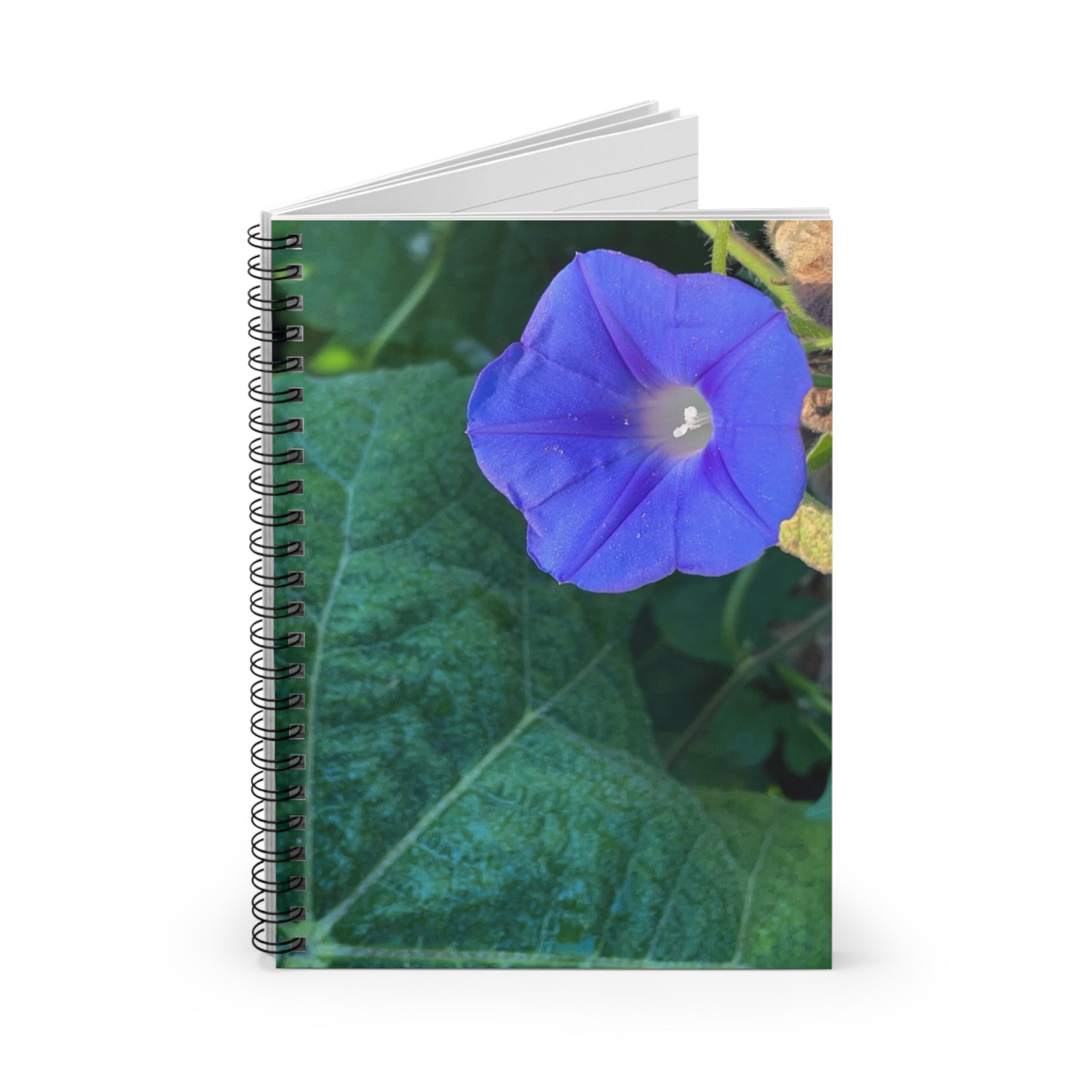 Morning Glory Spiral Notebook — Floral Ruled Journal for Notes & Gardeners
