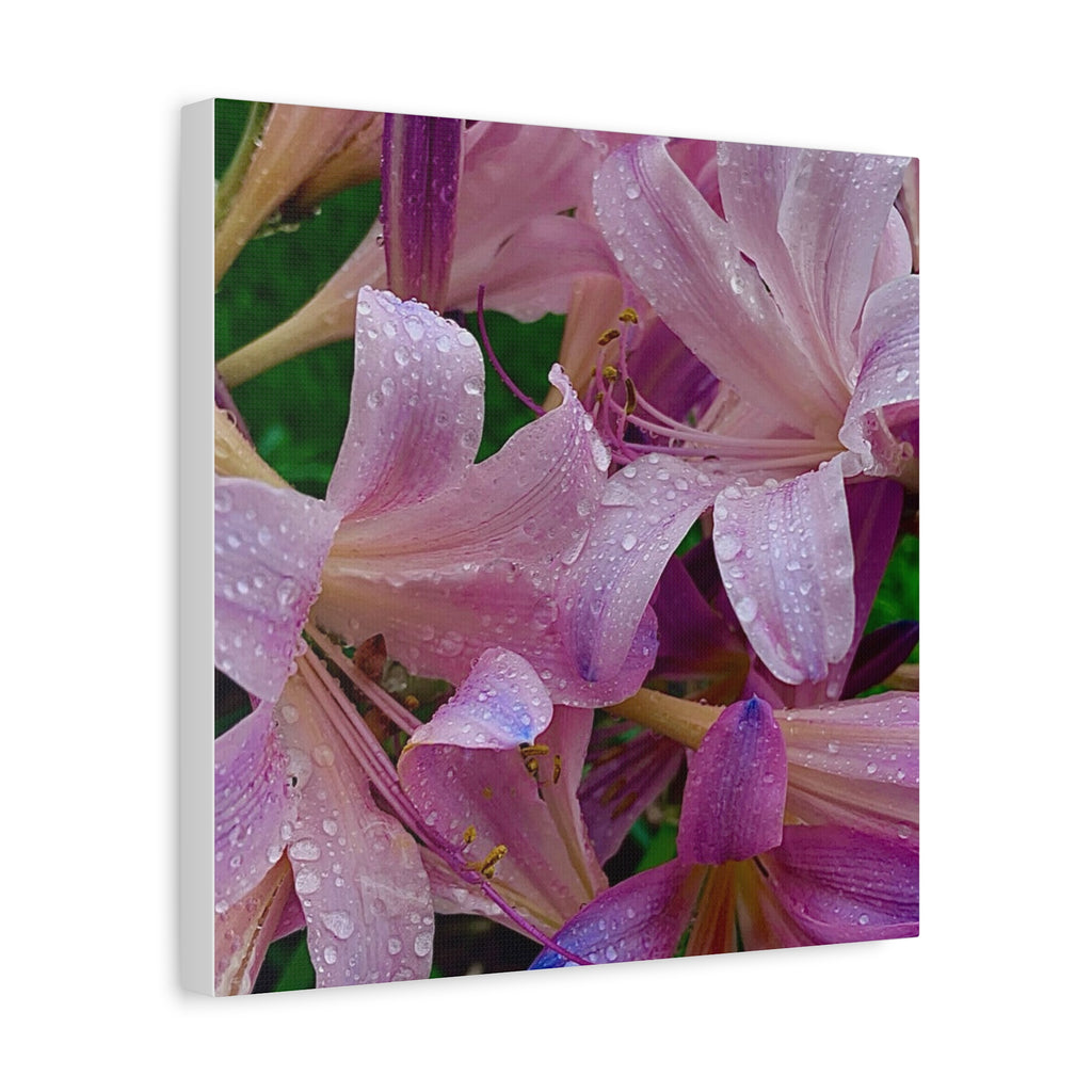 Rainy Pink Lilies Canvas Print