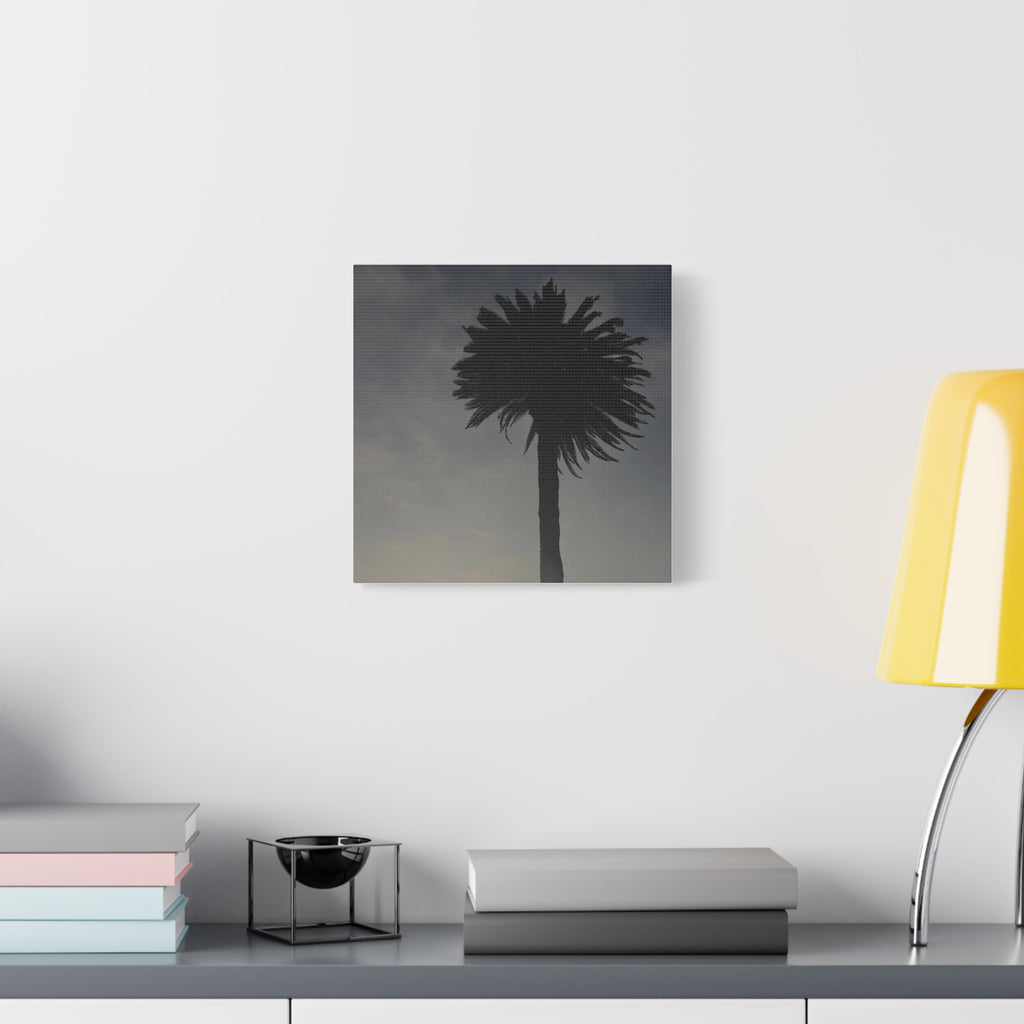 Palm Tree Canvas Print