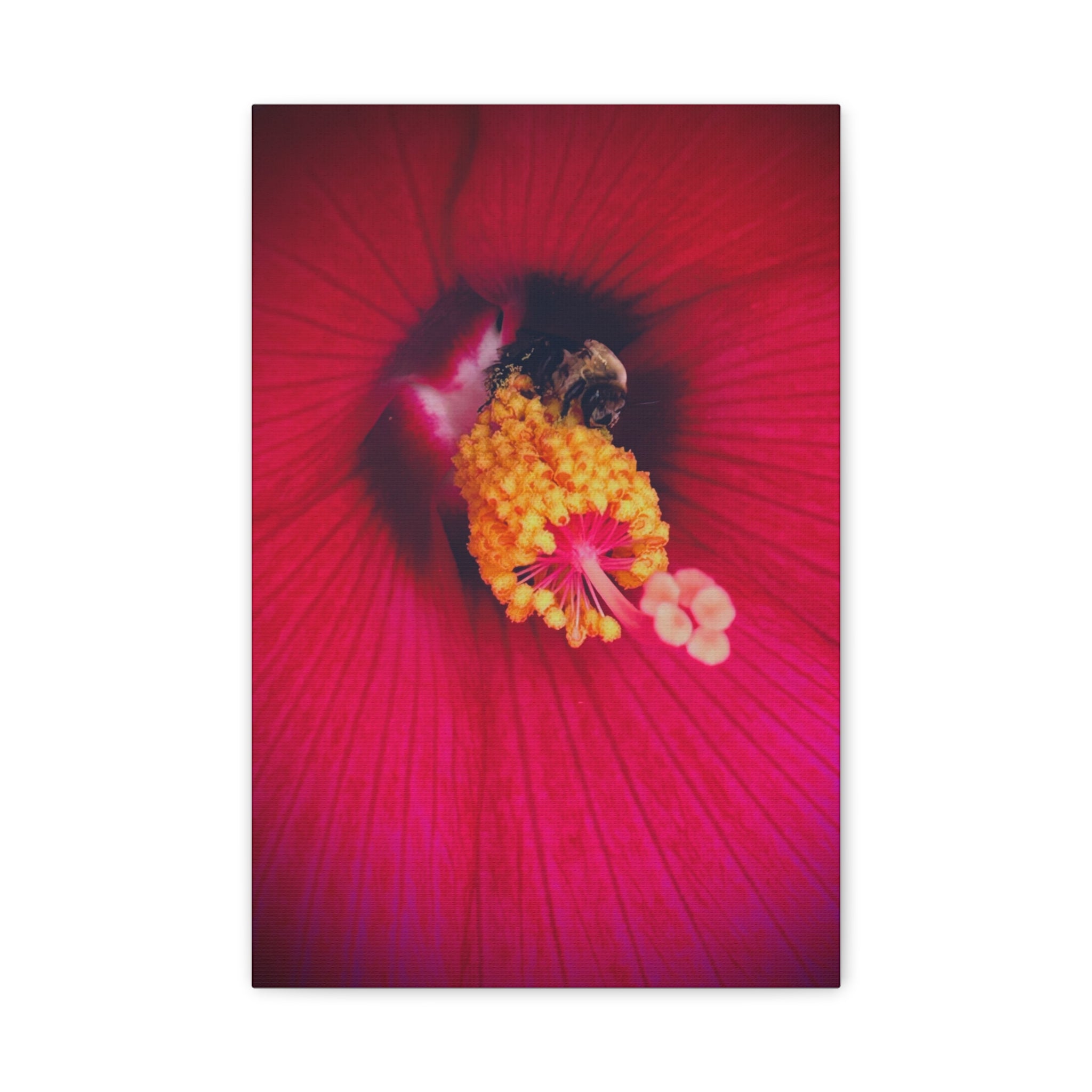 Sleeping Bee Canvas Print — Vibrant Floral Wall Art