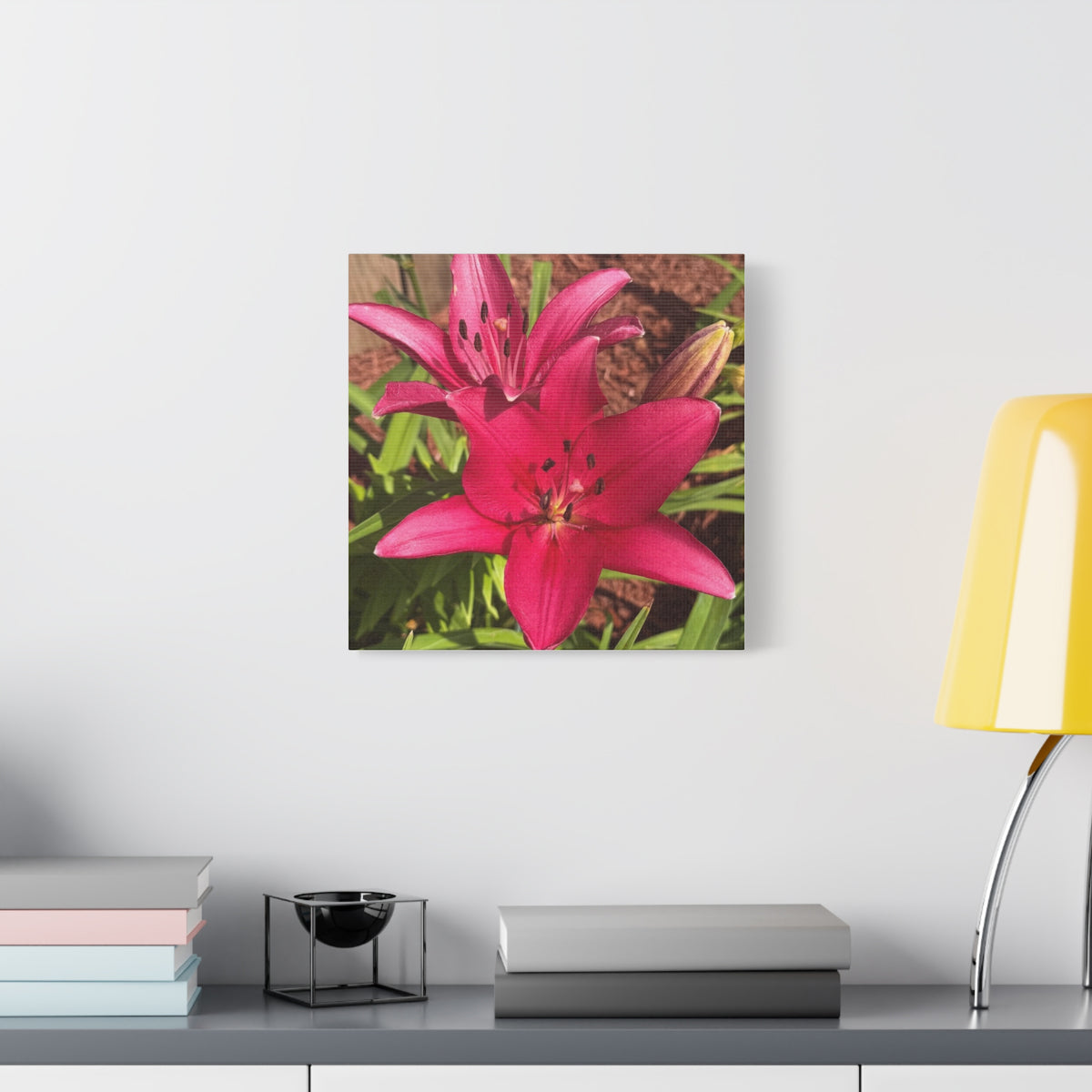 Pink Asiatic Lily Canvas Print
