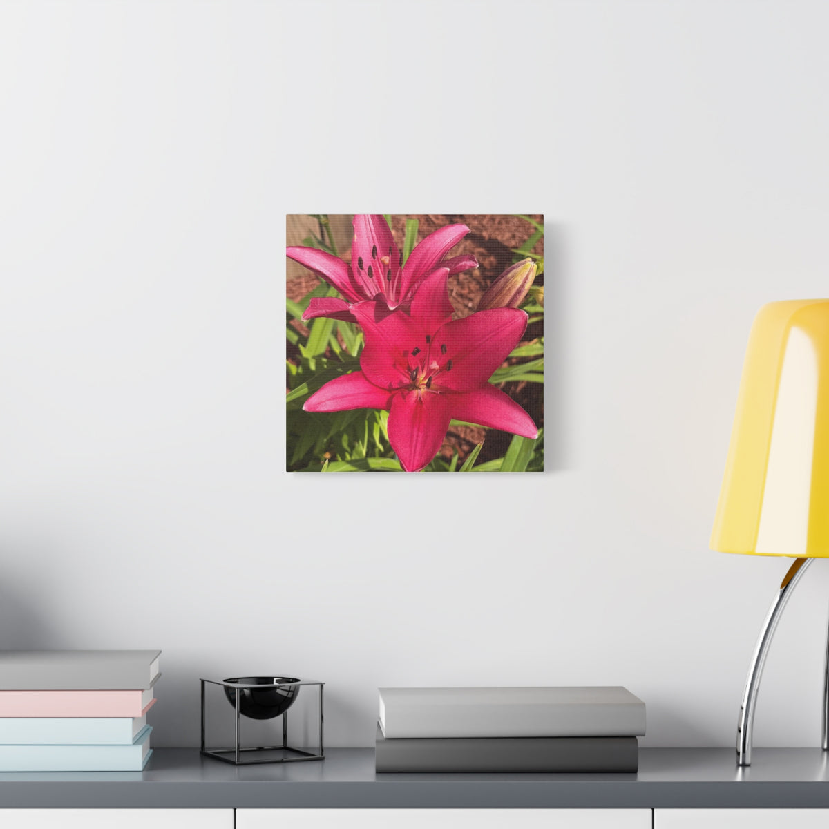Pink Asiatic Lily Canvas Print