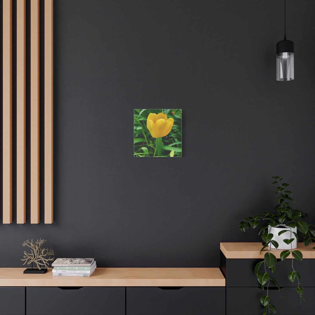 Yellow Tulip Canvas Print