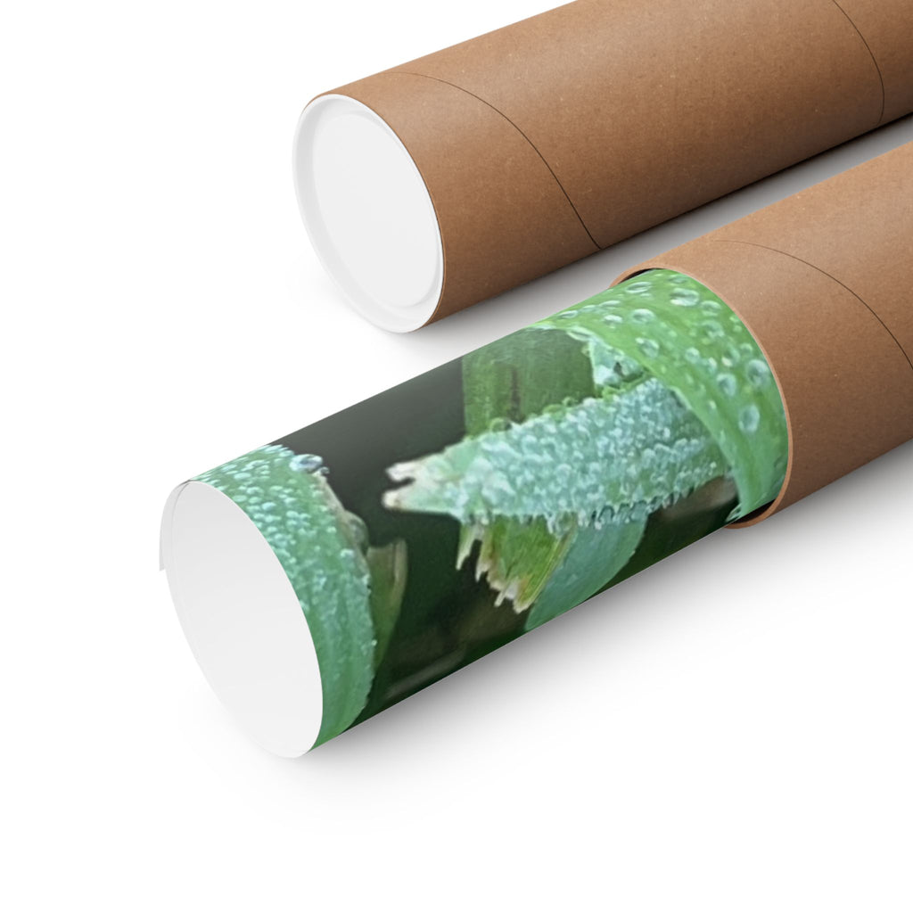 Dewy Grass Matte Poster — Vertical Nature Photography Print