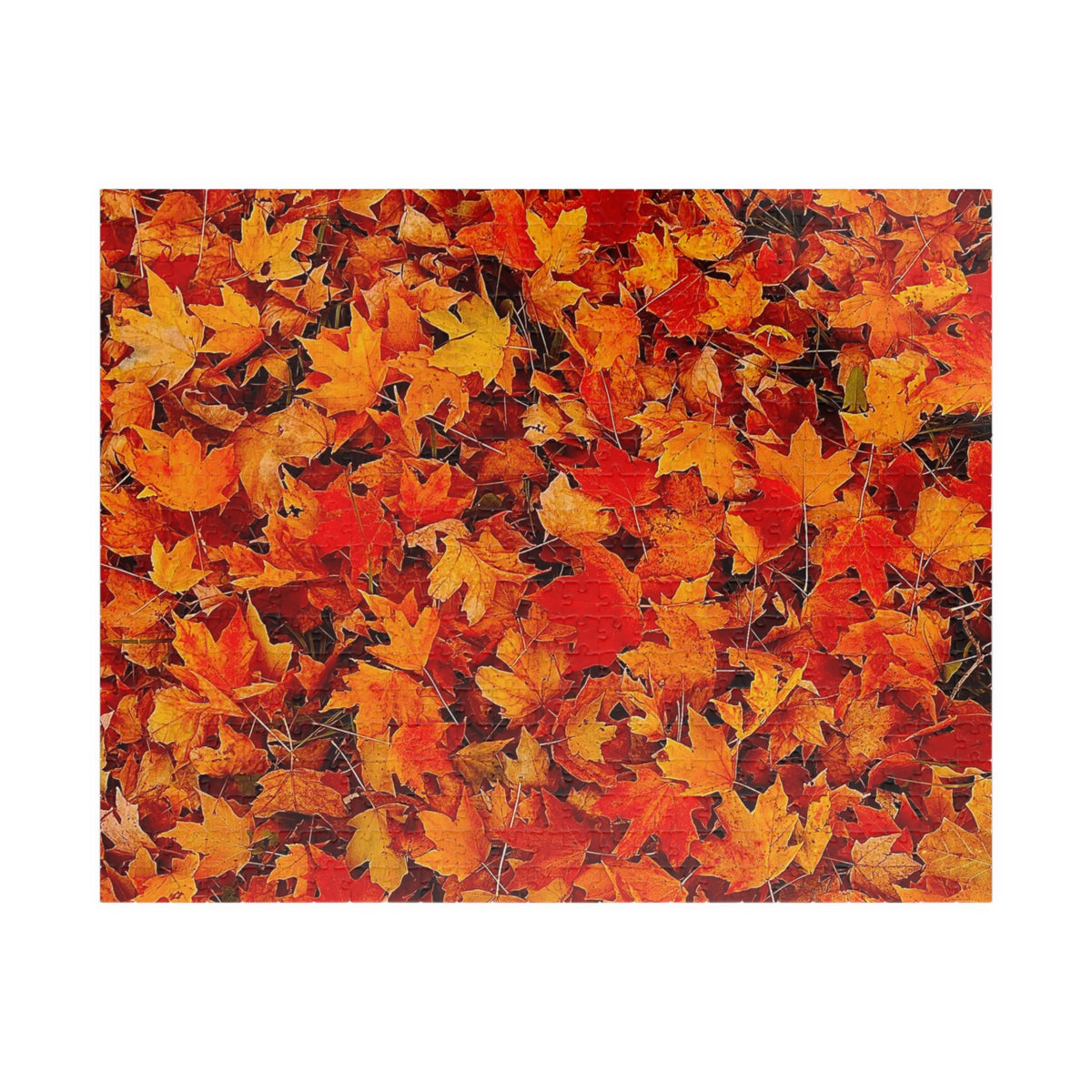 Autumn Leaves Jigsaw Puzzle