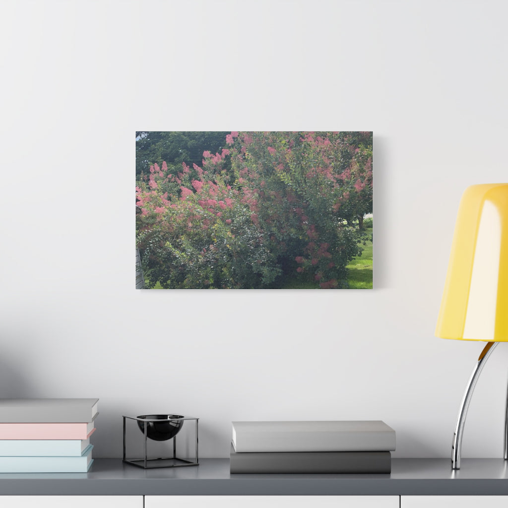 Smoke Bush Matte Canvas Print — Stretched 1.25" Wall Art