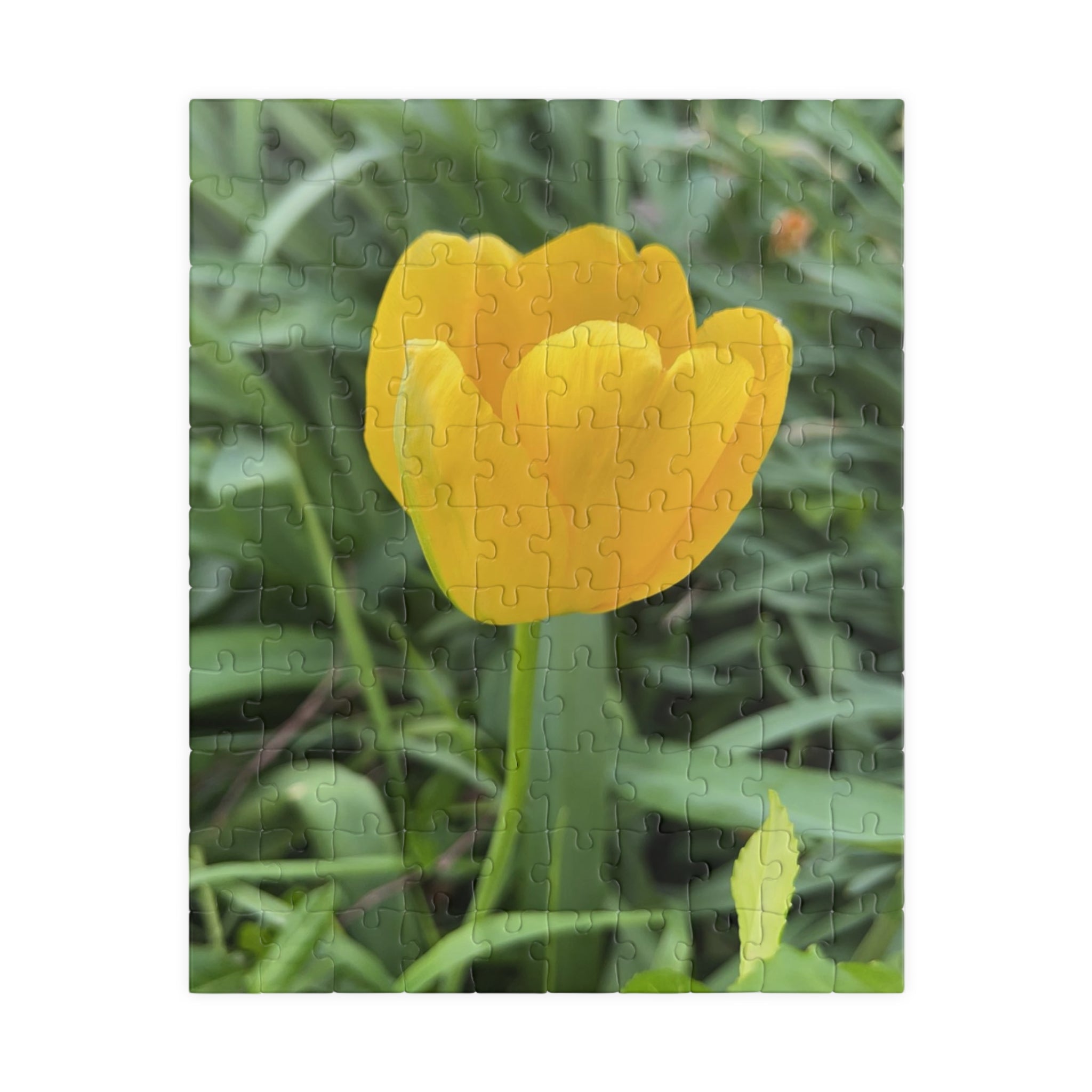 Yellow Tulip Jigsaw Puzzle — Floral 110/252/520/1014-Piece Puzzle