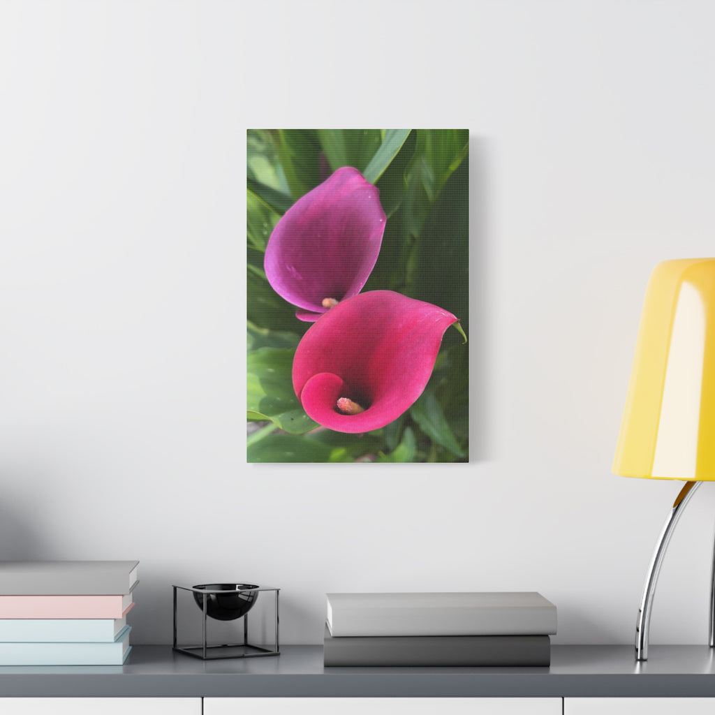 Two Pink Calla Lily Canvas Print — Matte Stretched Floral Wall Art