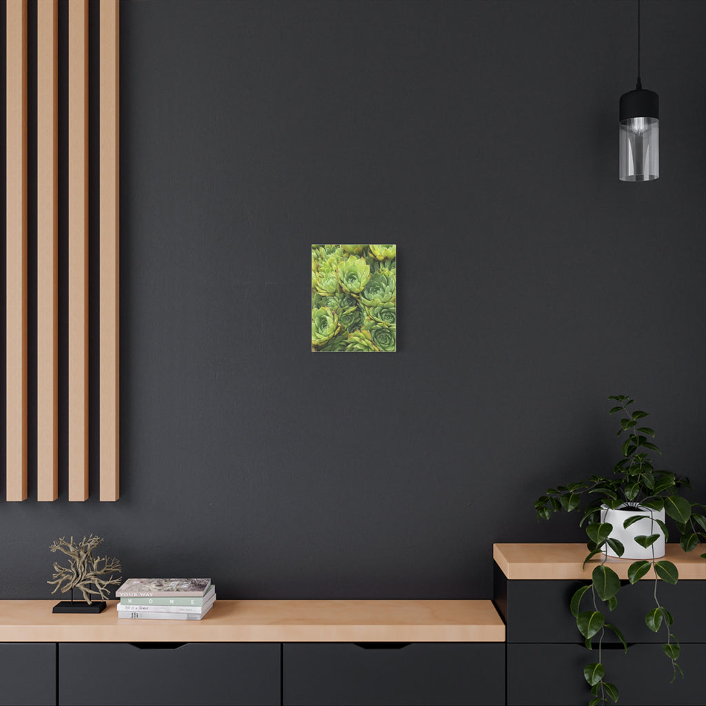 Succulent Wall Art Canvas – Green Succulent Garden Matte Stretched Print