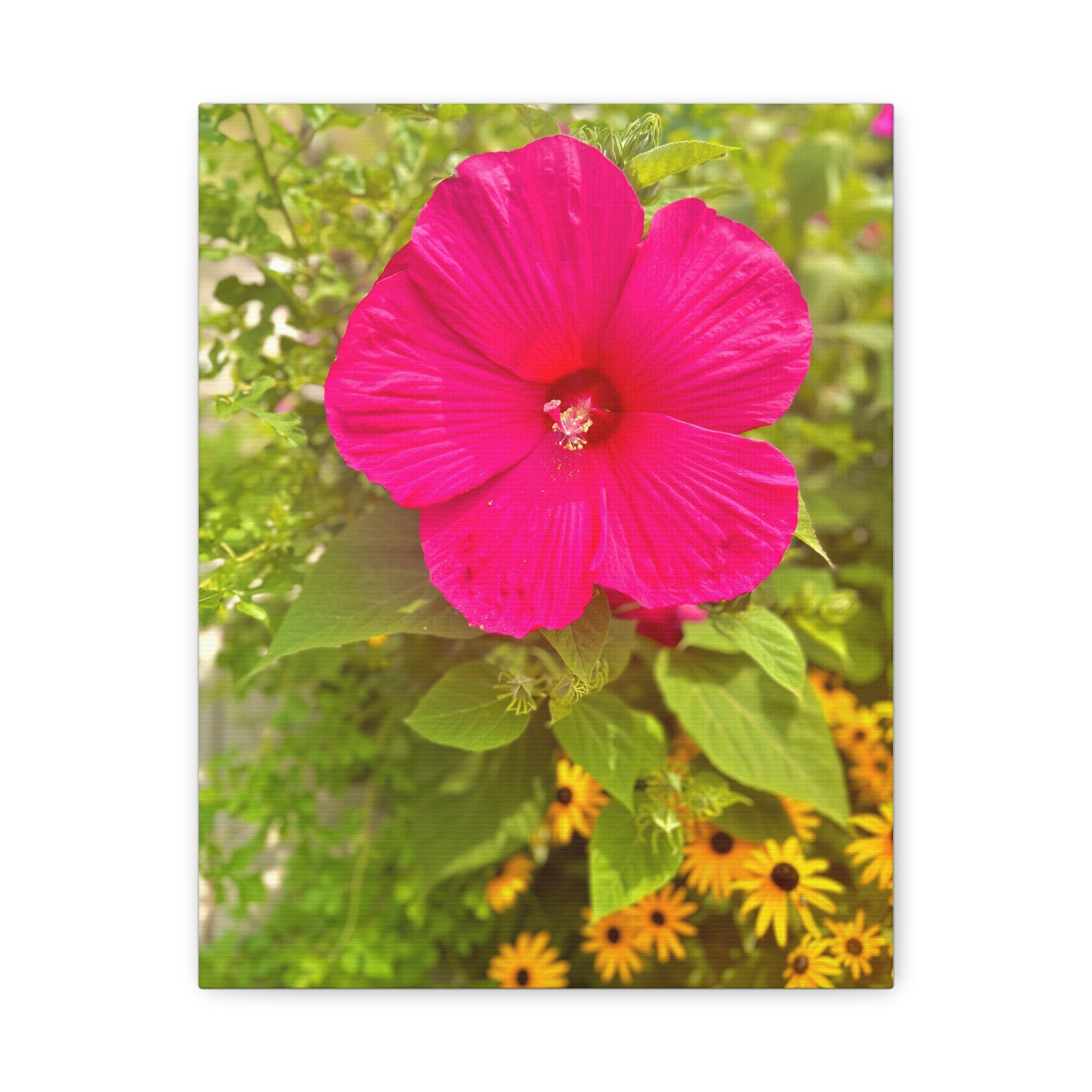 Pink Hibiscus Floral Canvas Print — Matte Stretched Wall Art