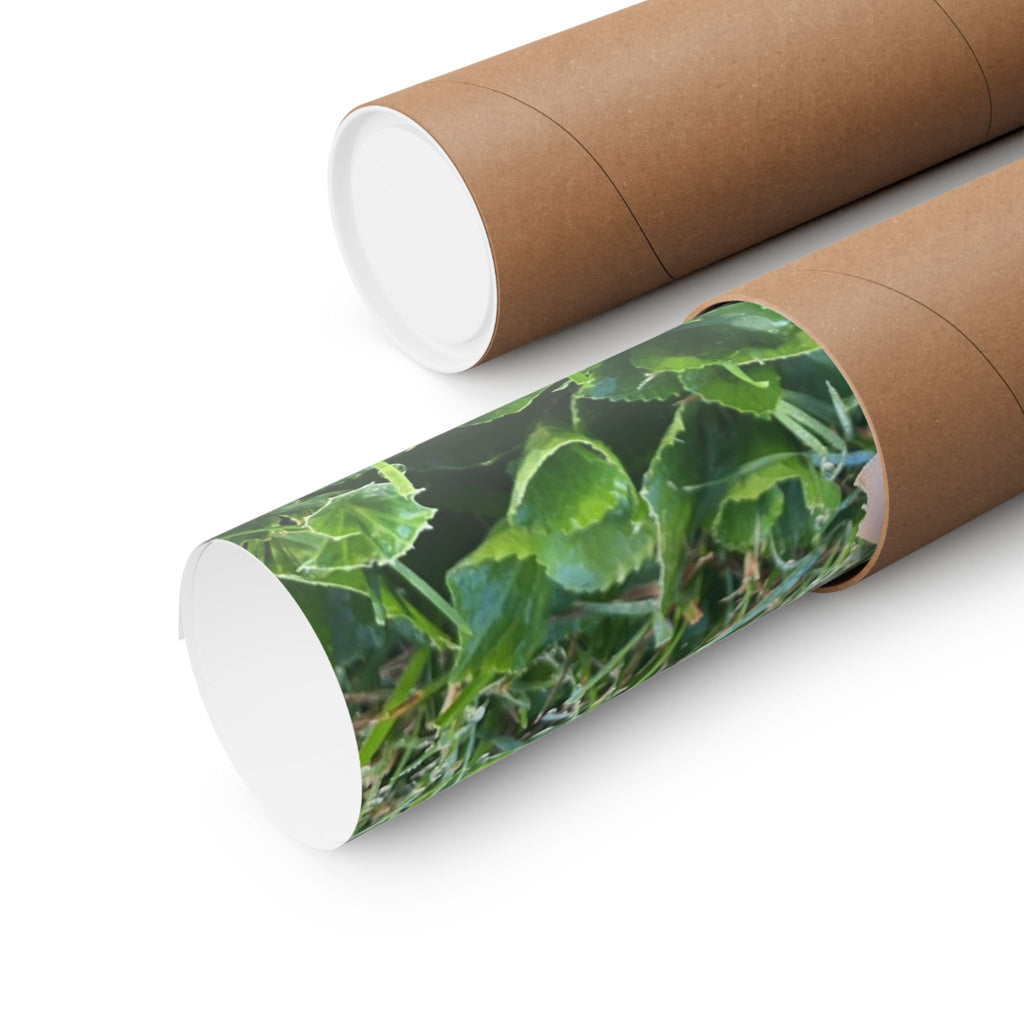 Mushroom in Grass Matte Poster — Nature Photo Vertical Wall Art