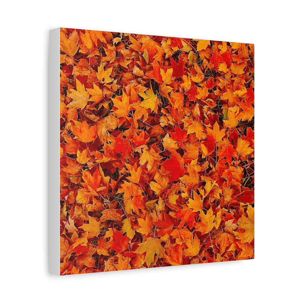 Autumn Leaves Canvas Print