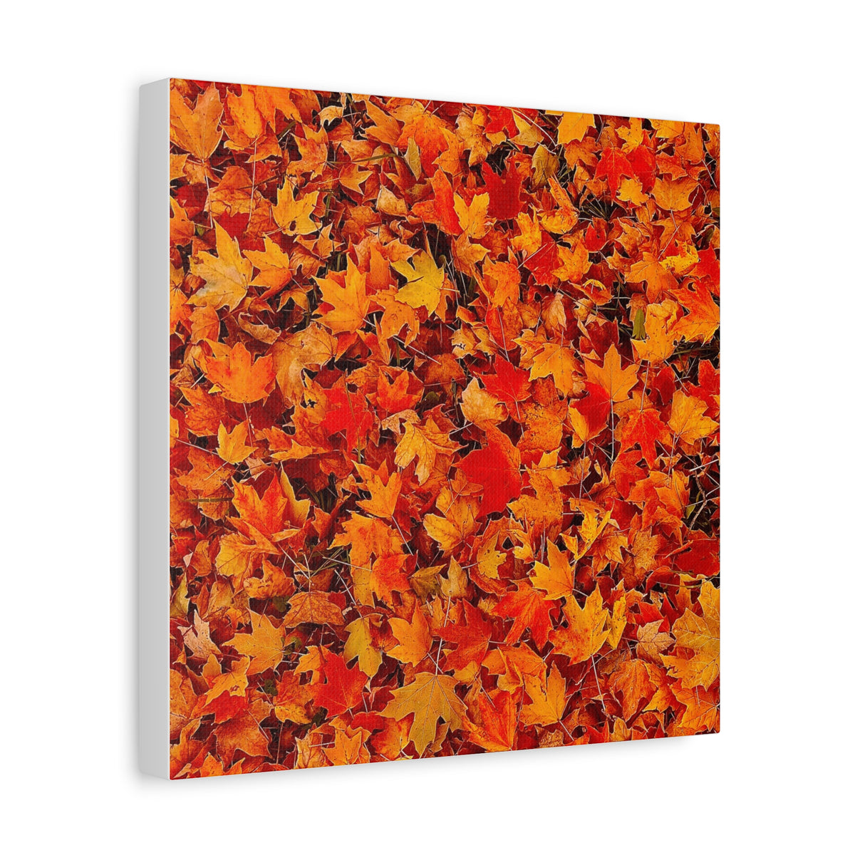 Autumn Leaves Canvas Print