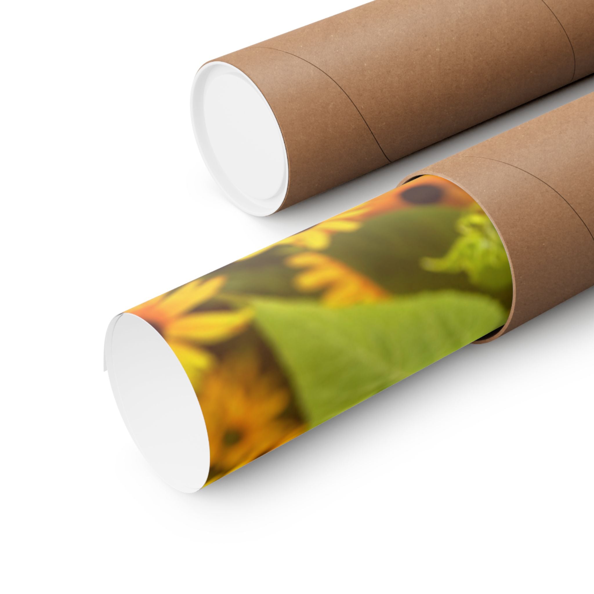 Matte Vertical Posters