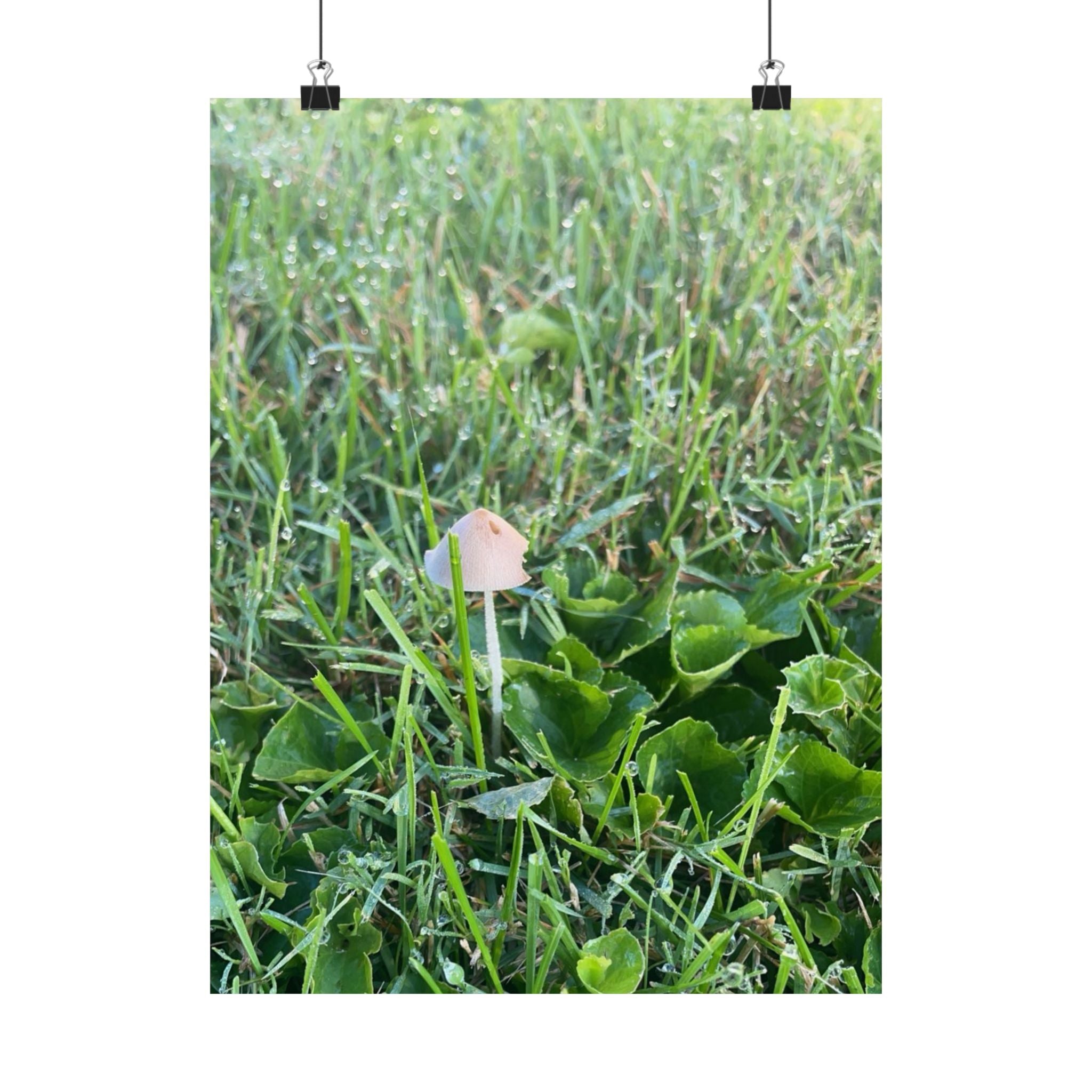 Mushroom in Grass Matte Poster — Nature Photo Vertical Wall Art