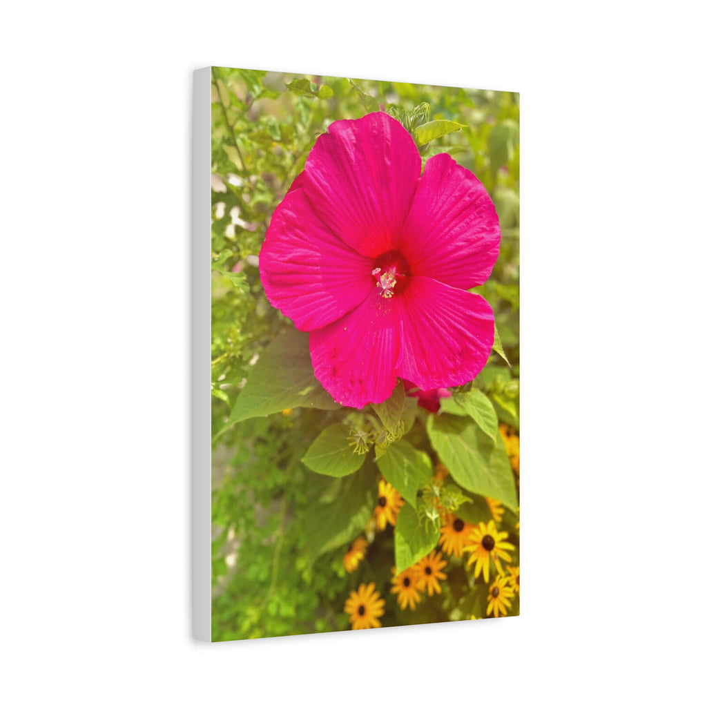 Pink Hibiscus Floral Canvas Print — Matte Stretched Wall Art