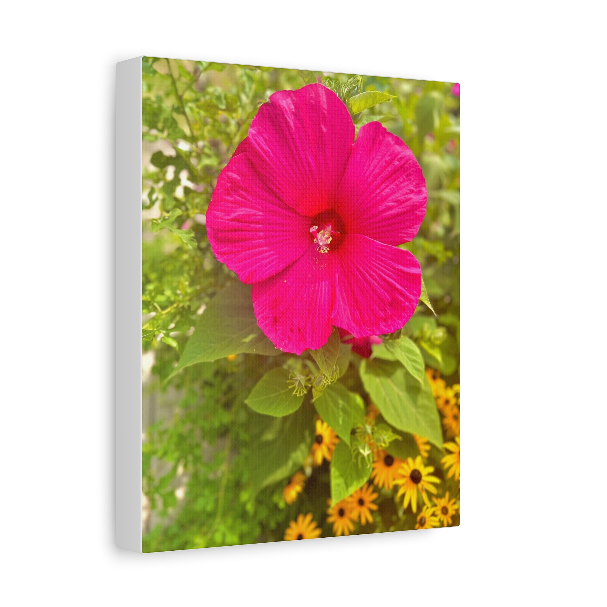 Pink Hibiscus Floral Canvas Print — Matte Stretched Wall Art