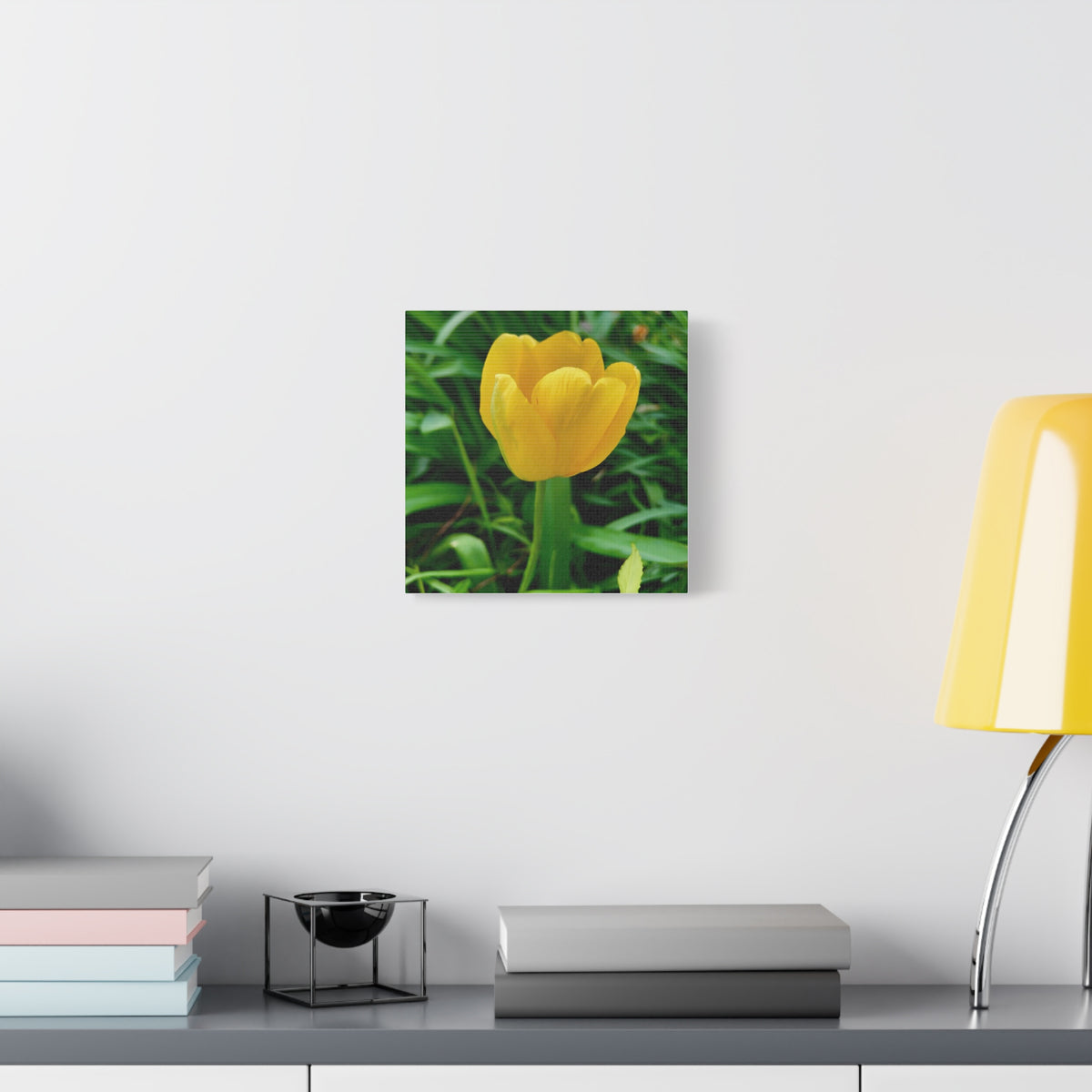 Yellow Tulip Canvas Print