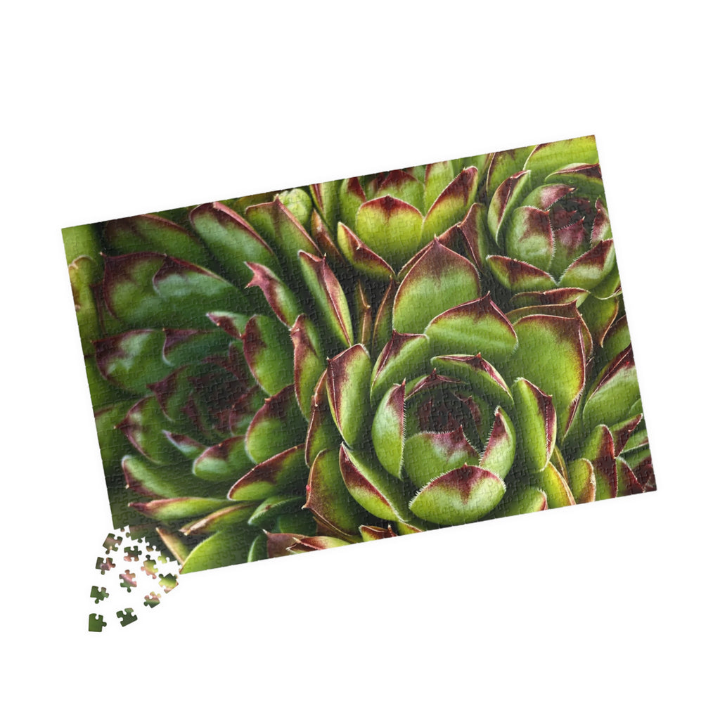 Succulent Garden Jigsaw Puzzle
