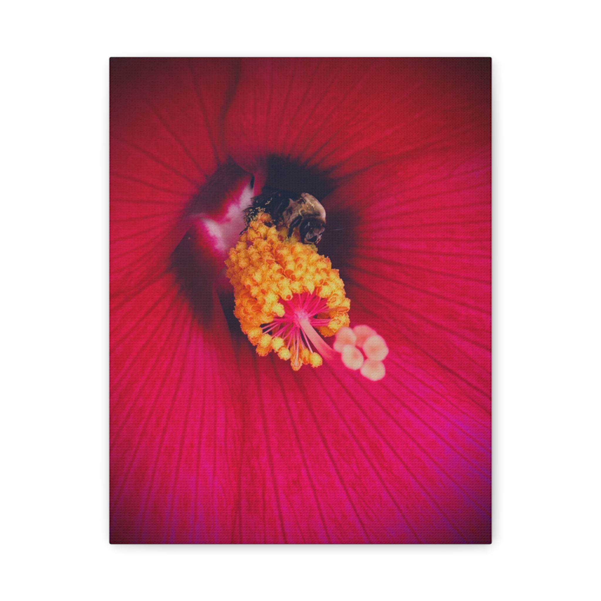 Sleeping Bee Canvas Print — Vibrant Floral Wall Art