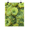 Succulent Garden Matte Poster — Green Botanical Vertical Wall Art