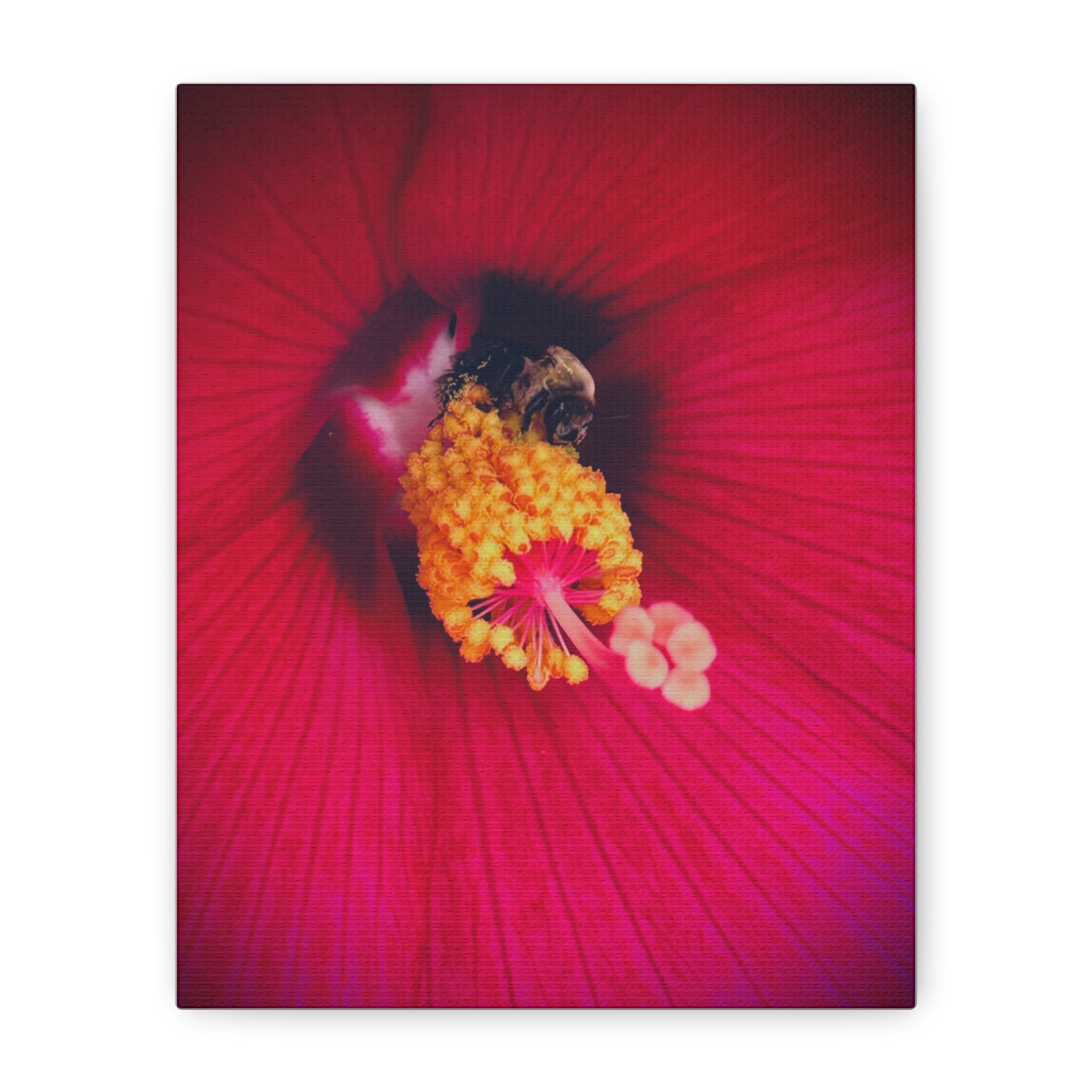 Sleeping Bee Canvas Print — Vibrant Floral Wall Art
