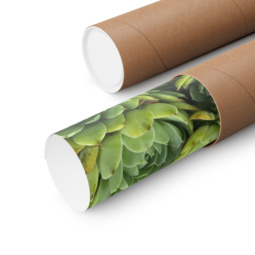 Succulent Garden Matte Poster — Green Botanical Vertical Wall Art
