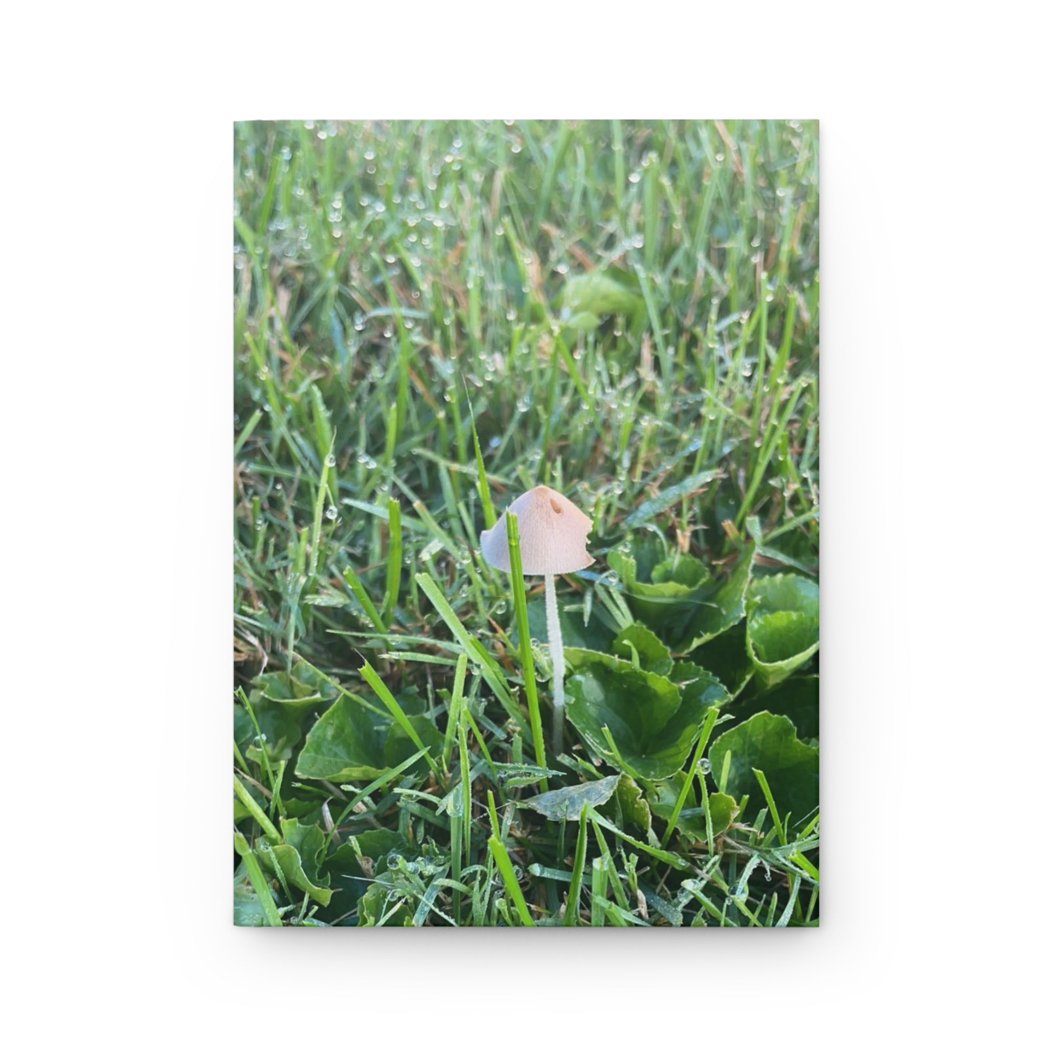Mushroom Meadow Hardcover Journal — Nature Photography Notebook for Outdoor Lovers