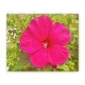 Pink Hibiscus Floral Canvas Print — Matte Stretched Wall Art