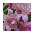 Rainy Pink Lilies Canvas Print