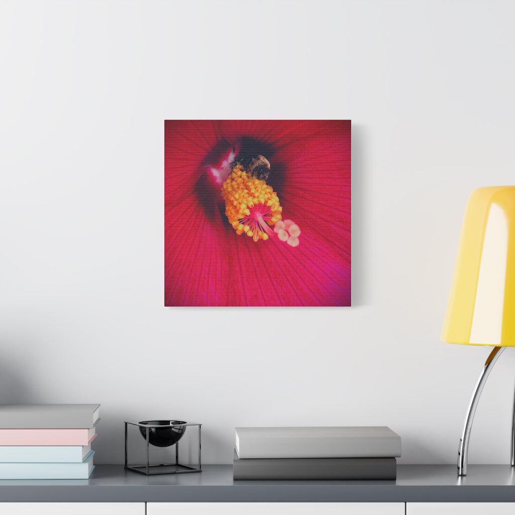 Sleeping Bee Canvas Print