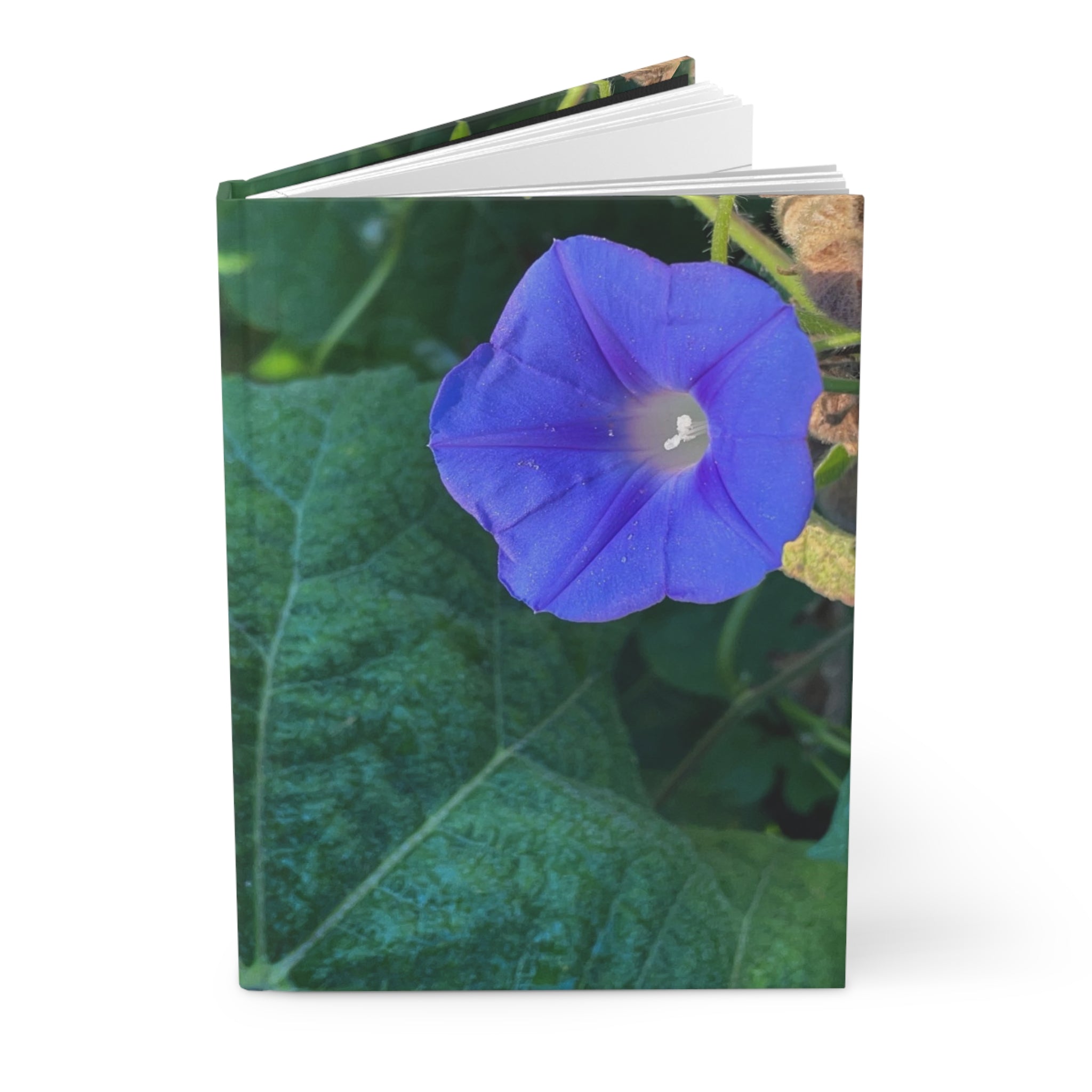 Morning Glory Hardcover Journal — Floral Nature Notebook for Gardeners & Botanical Lovers
