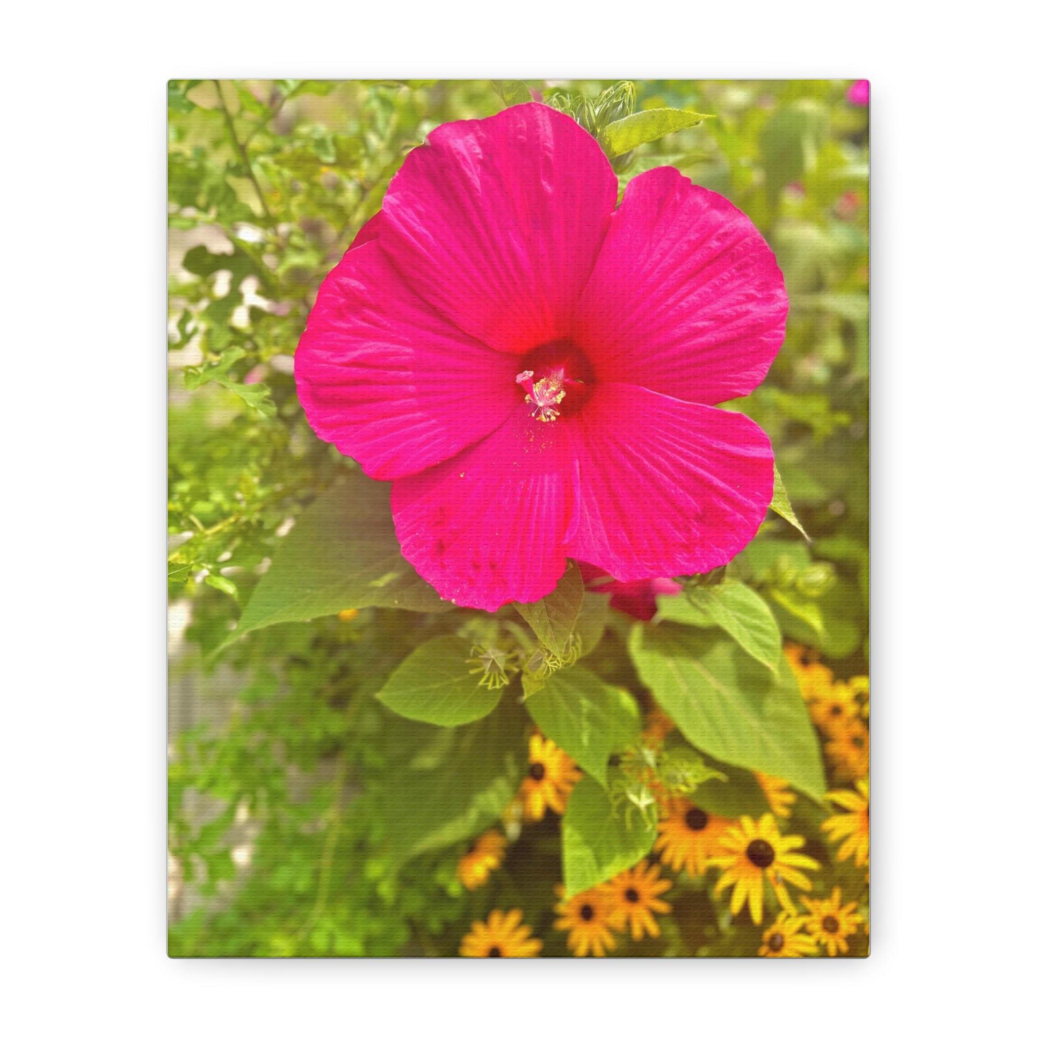 Pink Hibiscus Floral Canvas Print — Matte Stretched Wall Art