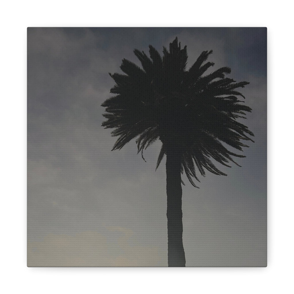 Palm Tree Canvas Print