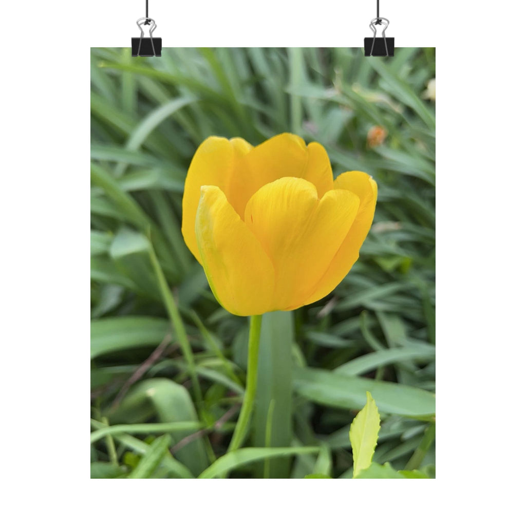Yellow Tulip Matte Poster — Vertical Floral Wall Art