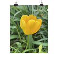 Yellow Tulip Matte Poster — Vertical Floral Wall Art