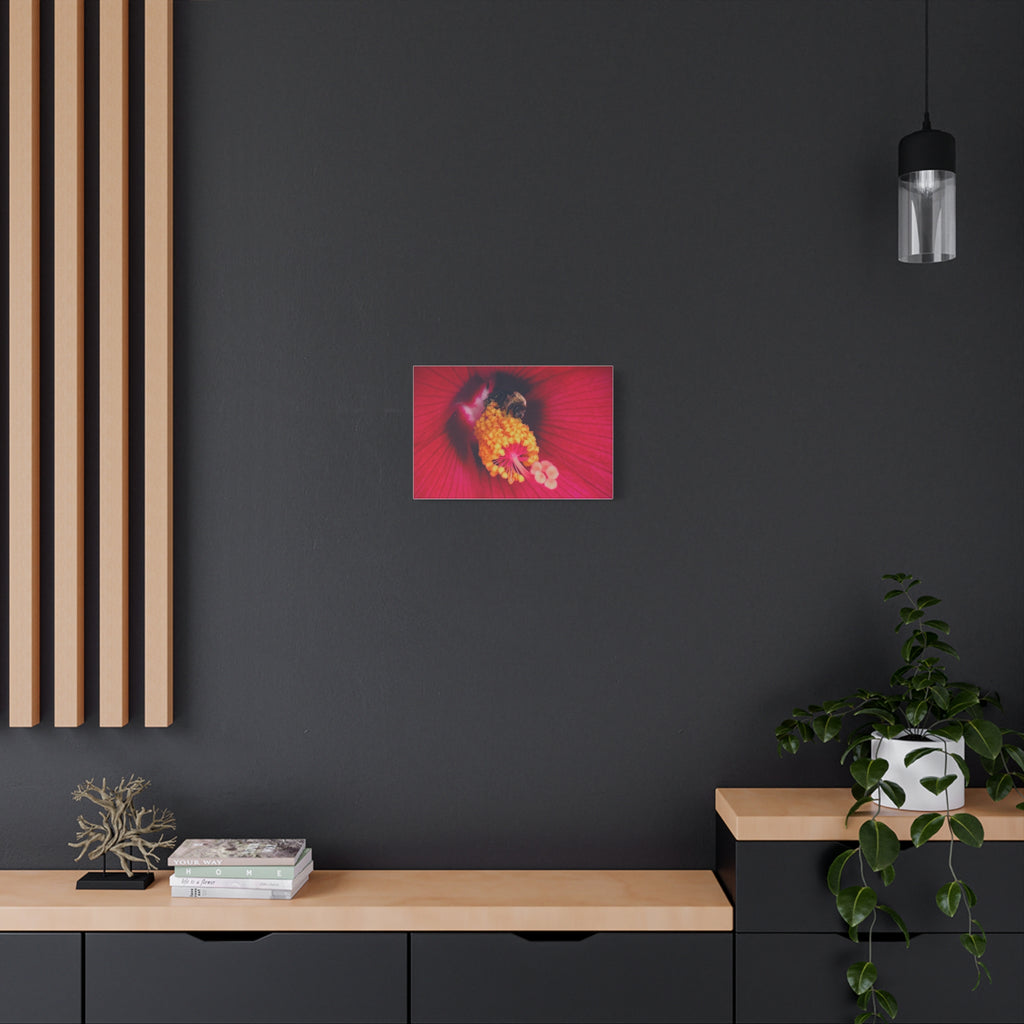 Sleeping Bee Canvas Print — Vibrant Floral Wall Art