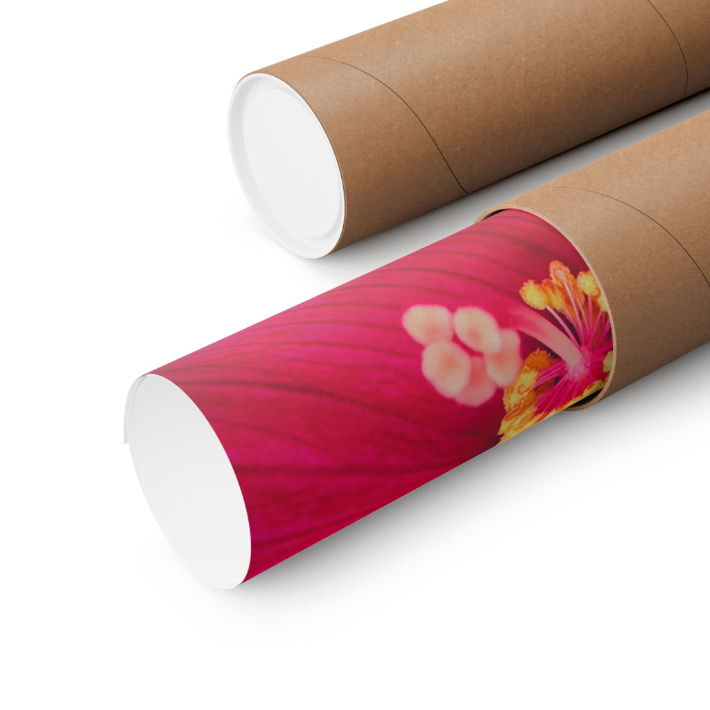 Floral Close-Up Matte Poster — Red Hibiscus with Bee
