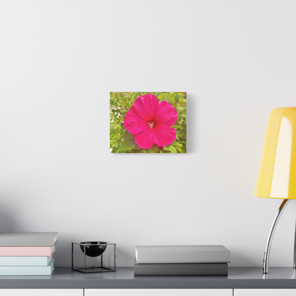 Pink Hibiscus Floral Canvas Print — Matte Stretched Wall Art
