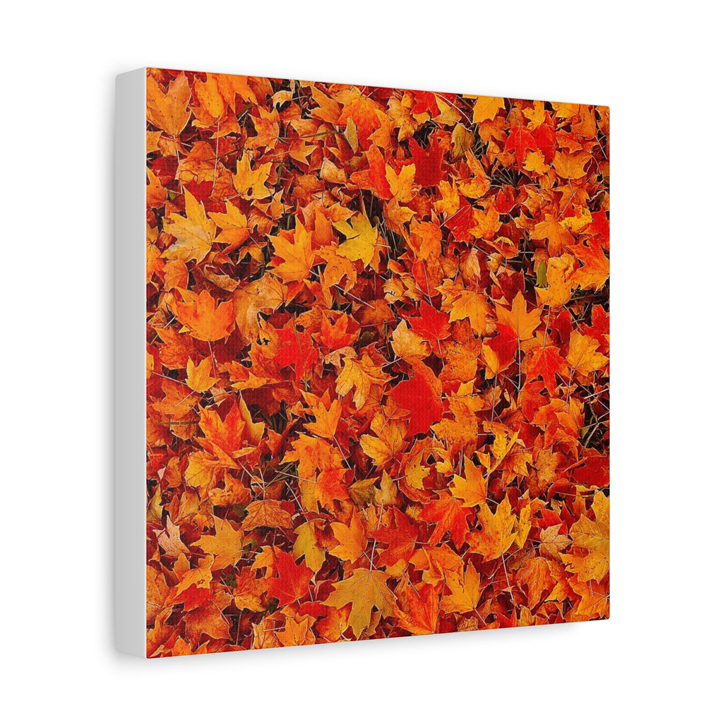 Autumn Leaves Canvas Print