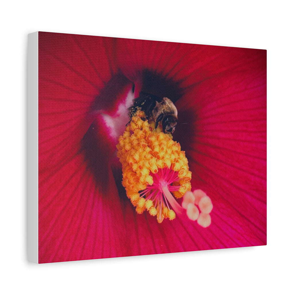 Sleeping Bee Canvas Print — Vibrant Floral Wall Art