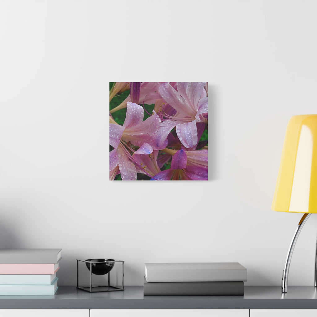 Rainy Pink Lilies Canvas Print