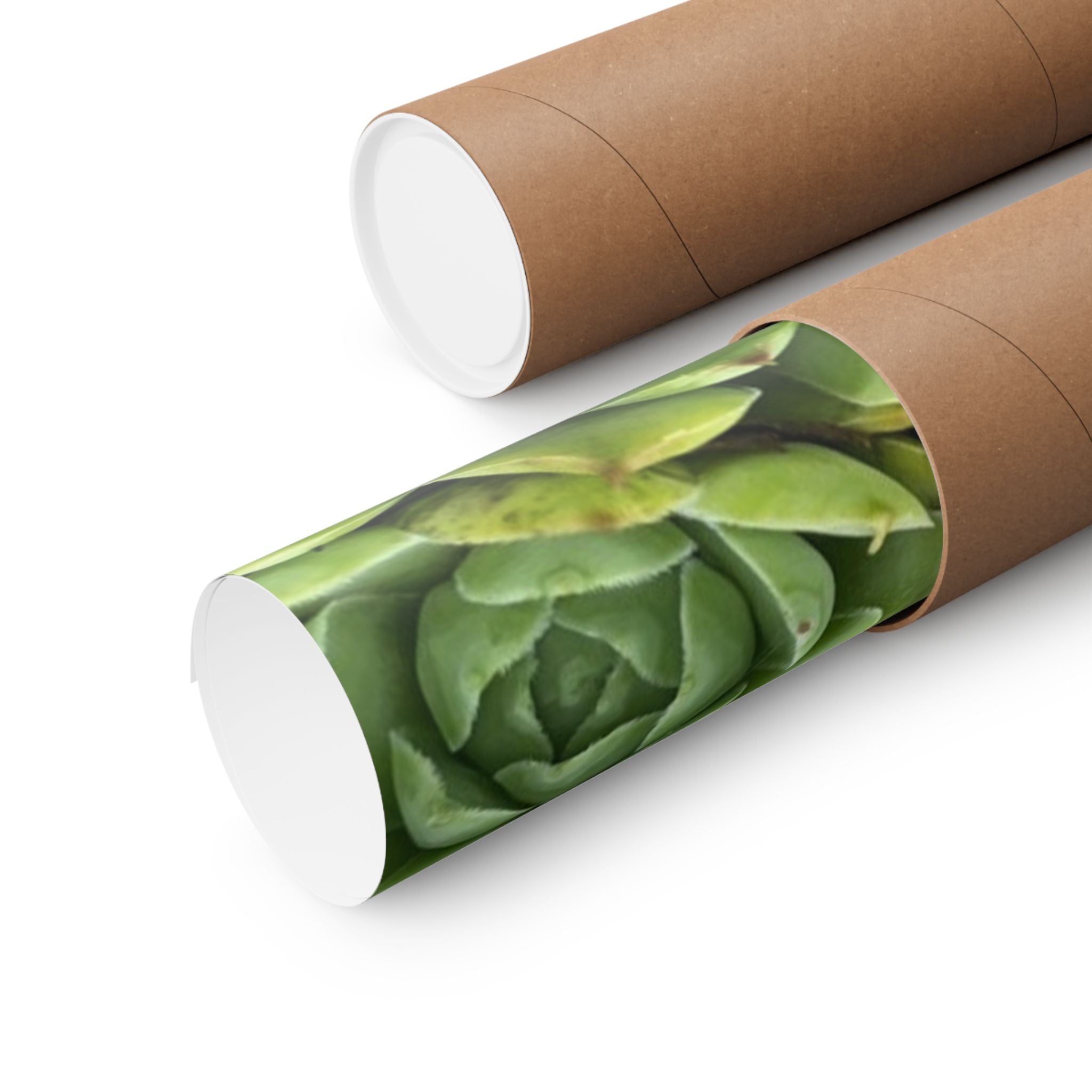 Succulent Garden Matte Poster — Green Botanical Vertical Wall Art
