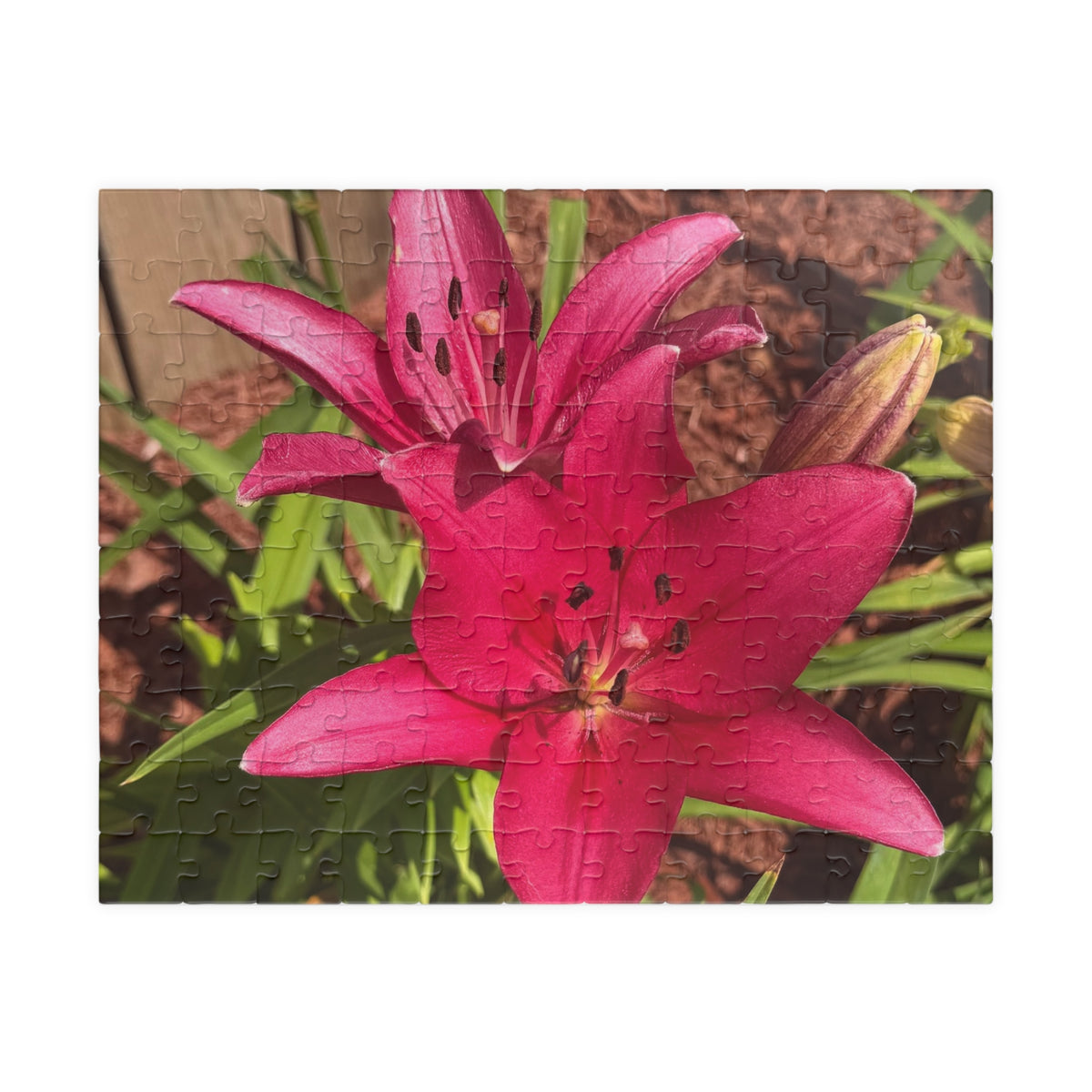 Pink Asiatic Lily Jigsaw Puzzle