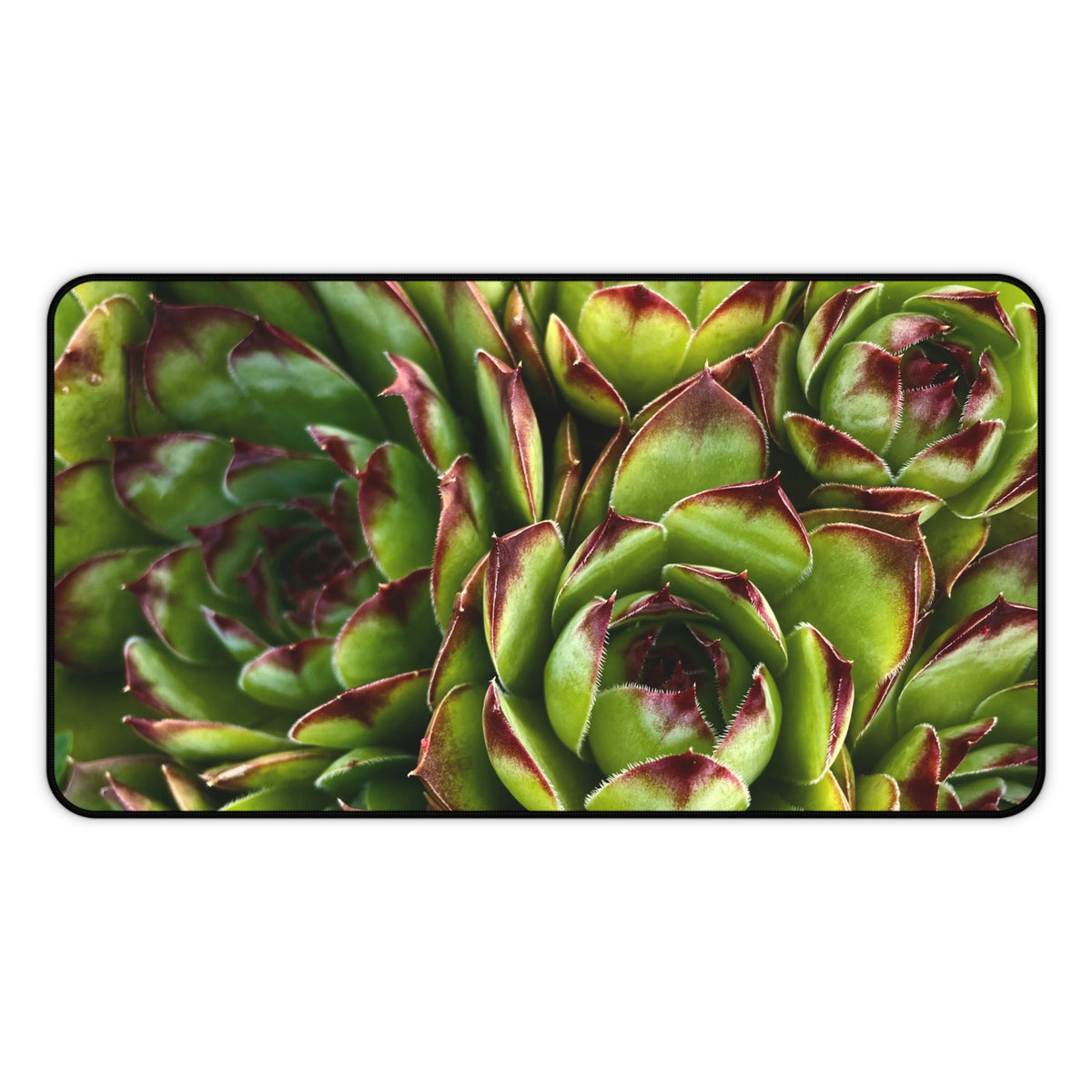 Succulent Garden Desk Mat