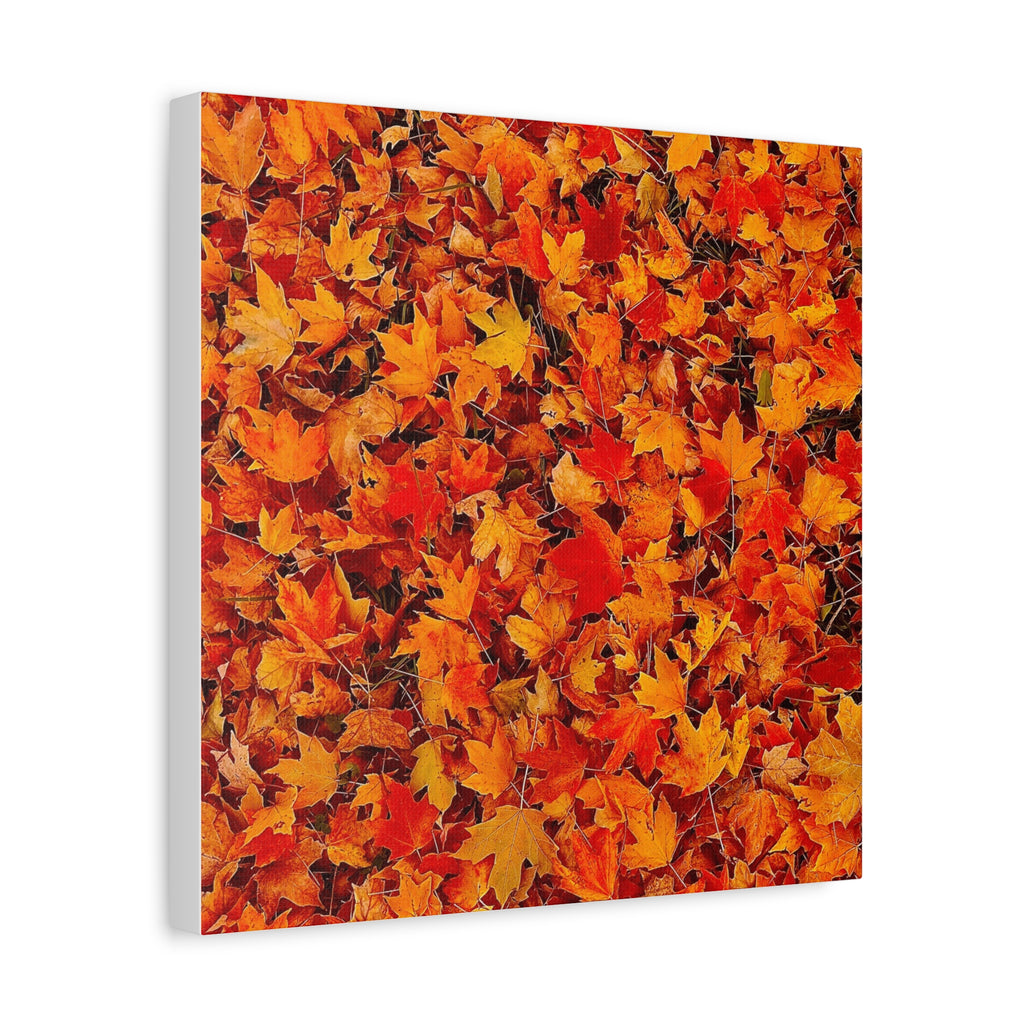 Autumn Leaves Canvas Print