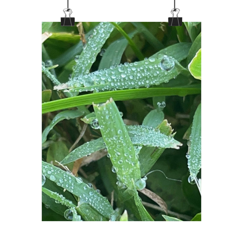Dewy Grass Matte Poster — Vertical Nature Photography Print