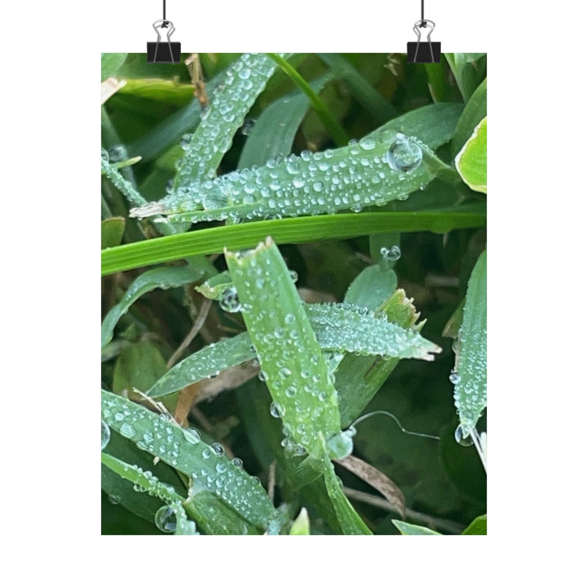 Dewy Grass Matte Poster — Vertical Nature Photography Print