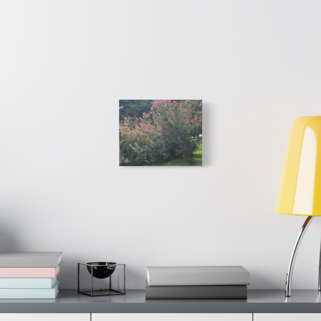 Smoke Bush Matte Canvas Print — Stretched 1.25" Wall Art
